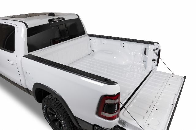 2020 Ram 1500 Cargo Holder Putco - view 4