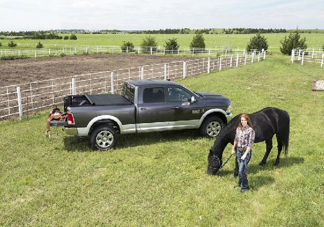 1995 Chevrolet C1500 Tonneau Cover Truxedo - view 2